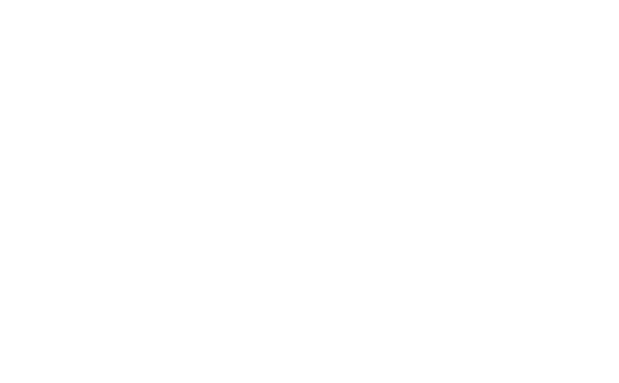 Logo Light The Planet